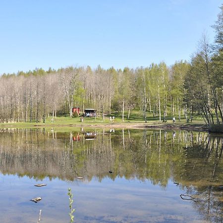 Furusjoens Cottage Animskog Luaran gambar