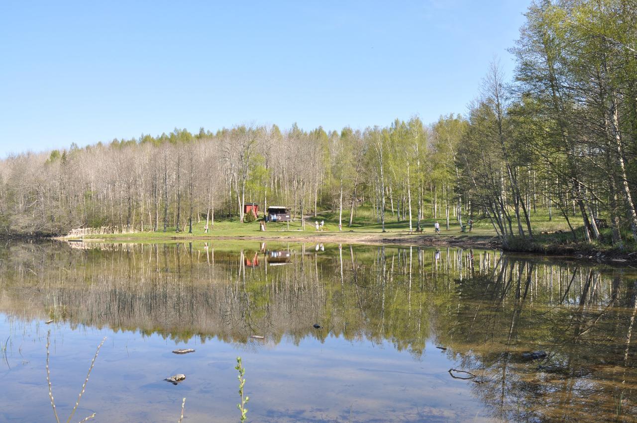 Furusjoens Cottage Animskog Luaran gambar